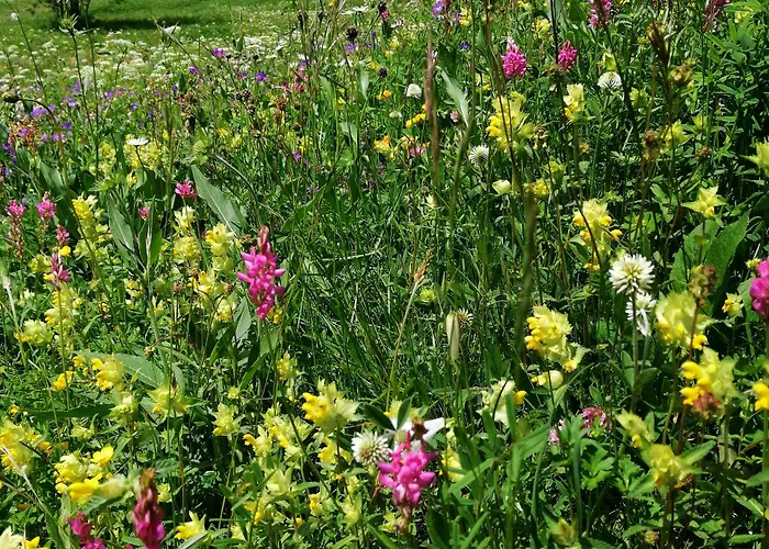 Apartmán Weid Leukerbad